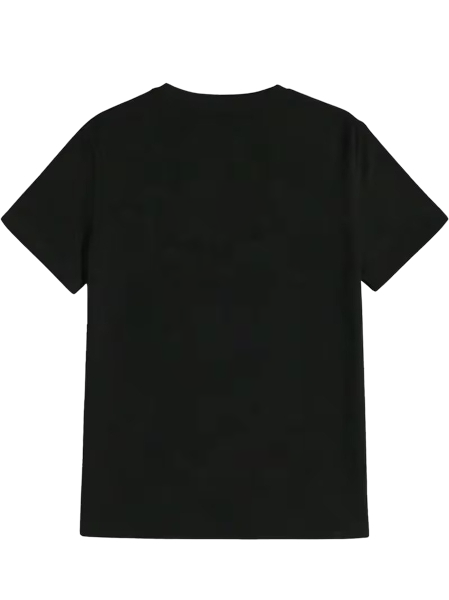 Vagabond Samurai Manga Grafik T-Shirt